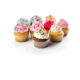 Cup Cake