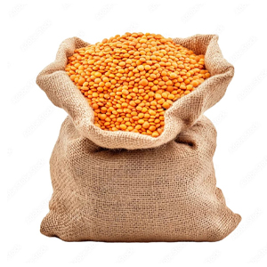 Pulses & Rice