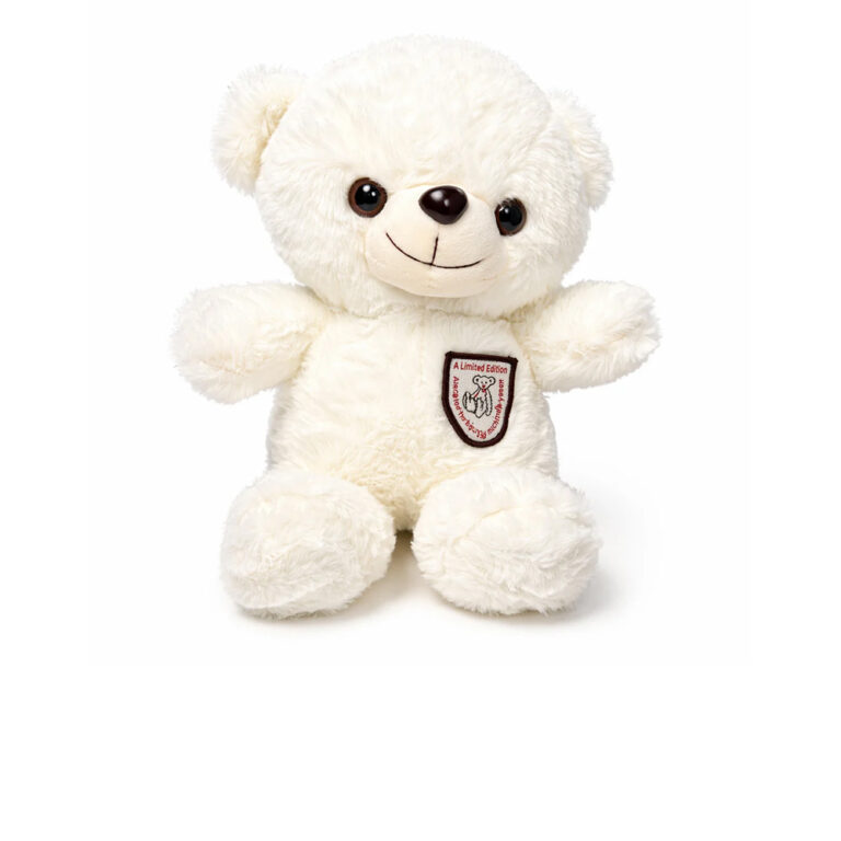 Toy