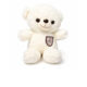 Toy