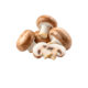 Mushrooms