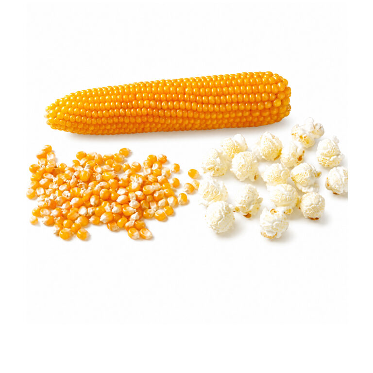 Pop Corns