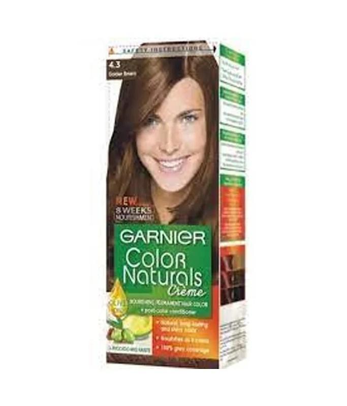 Garnier Hair Color – 4.3