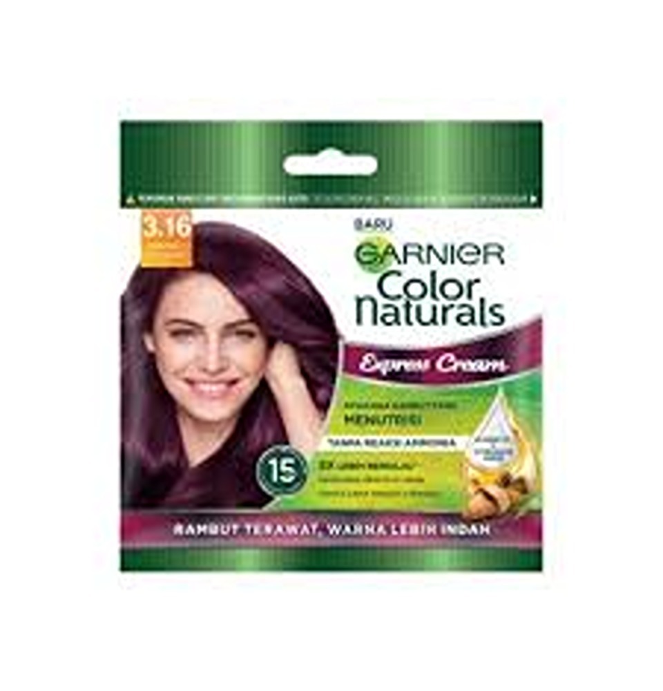 Garnier Hair Color Sachet  – 3.16