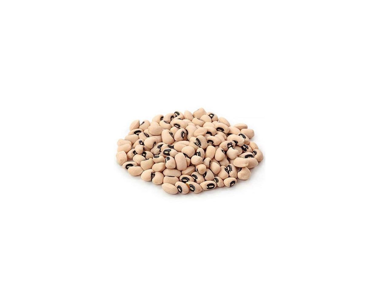 SAFARI WHITE LOBIA 500GM