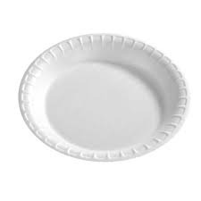 DISPOSABLE PLATE SMALL