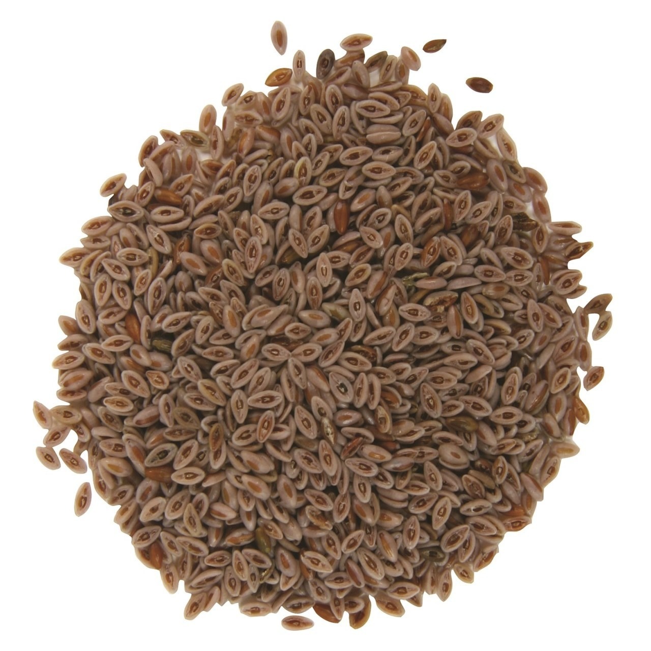 Best Food ISPAGOL SABAT 100GM