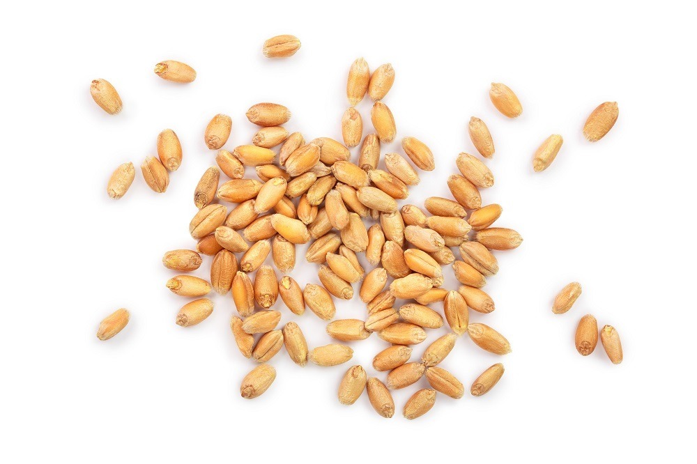 Best Food WHOLE WHEAT 400GM