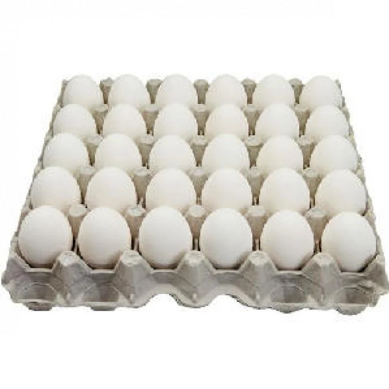 ARFA EGG 30PCS TRY