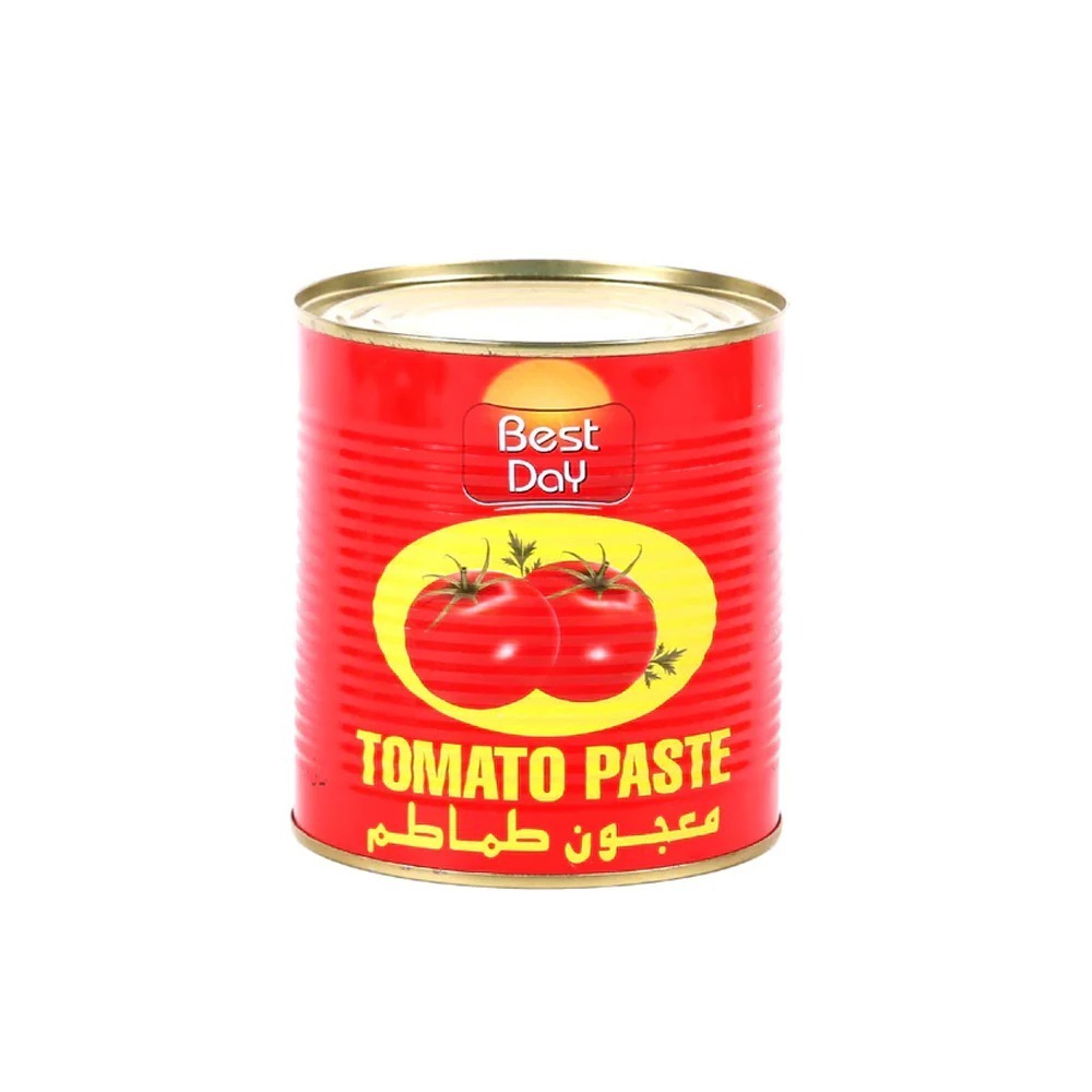 BEST DAY TOMATO PASTE 800GM