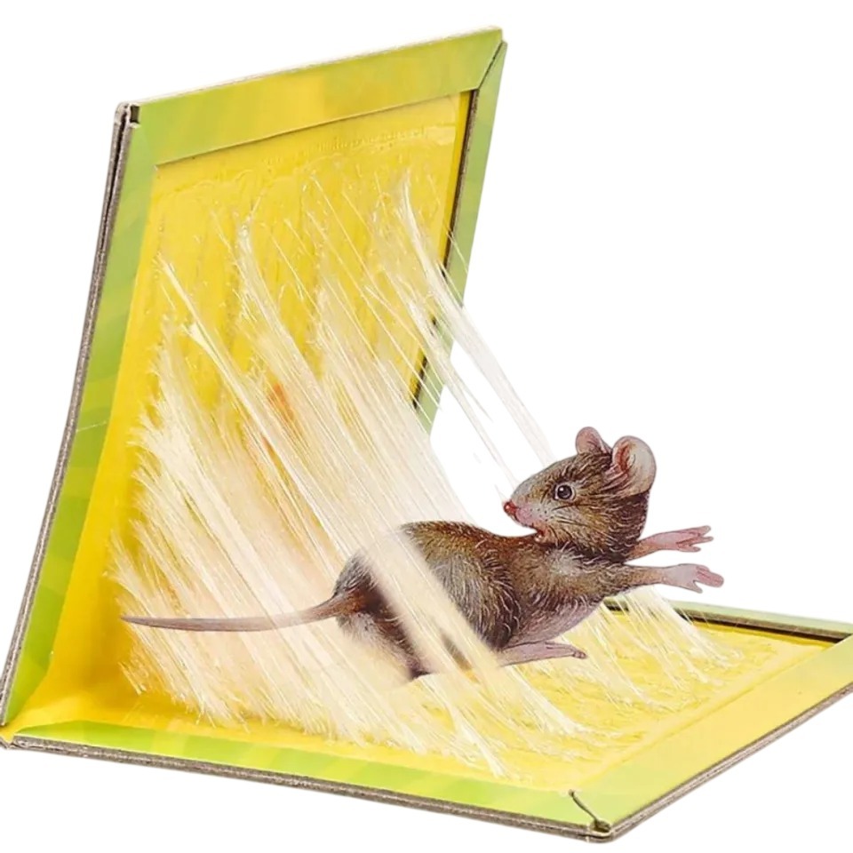 FAST ACTION GLUE TRAP BOOK